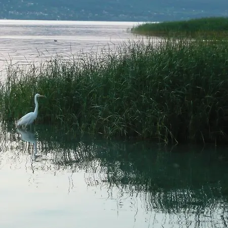Aranyhid Hotel Balatonboglar