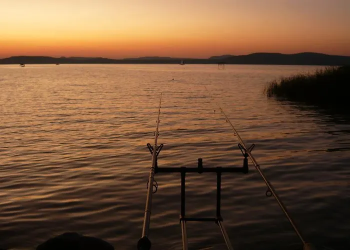 מלון Aranyhid 3*