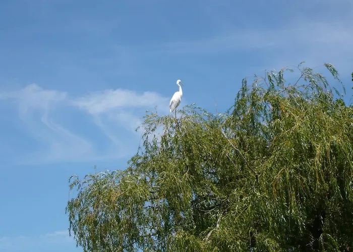 Aranyhid מלון 3*