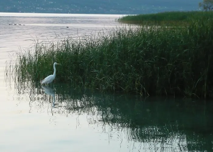 Aranyhid מלון Balatonboglár